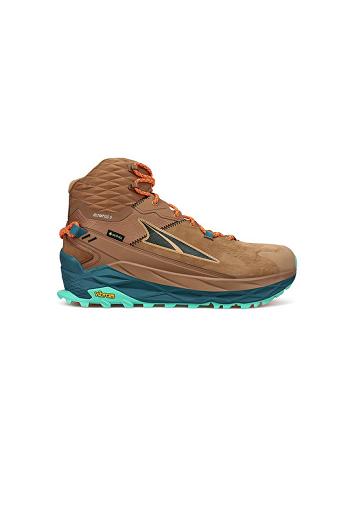 Brown Altra OLYMPUS 5 HIKE MID GTX Men's Outdoor | US_EF5580